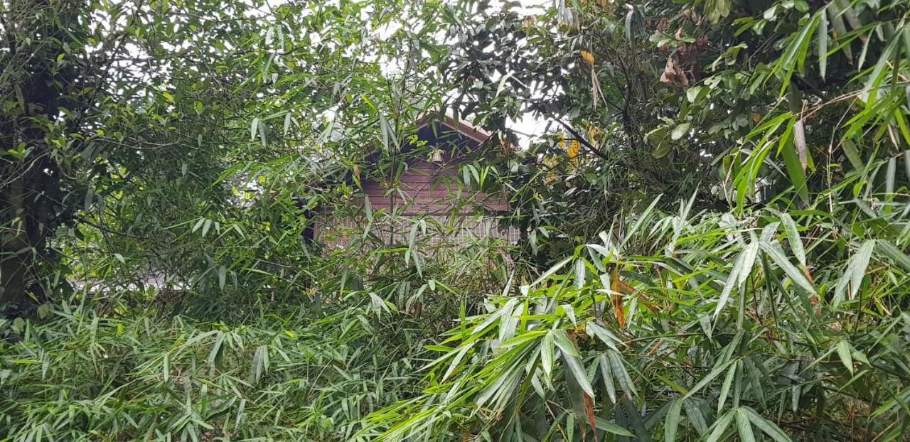 Wayanad Doubletree Villa Vythiri Εξωτερικό φωτογραφία